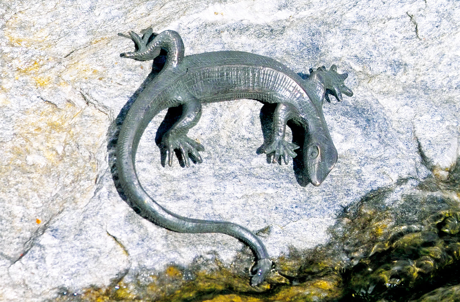 Eidechse eingerollt, Bronze-Skulptur.