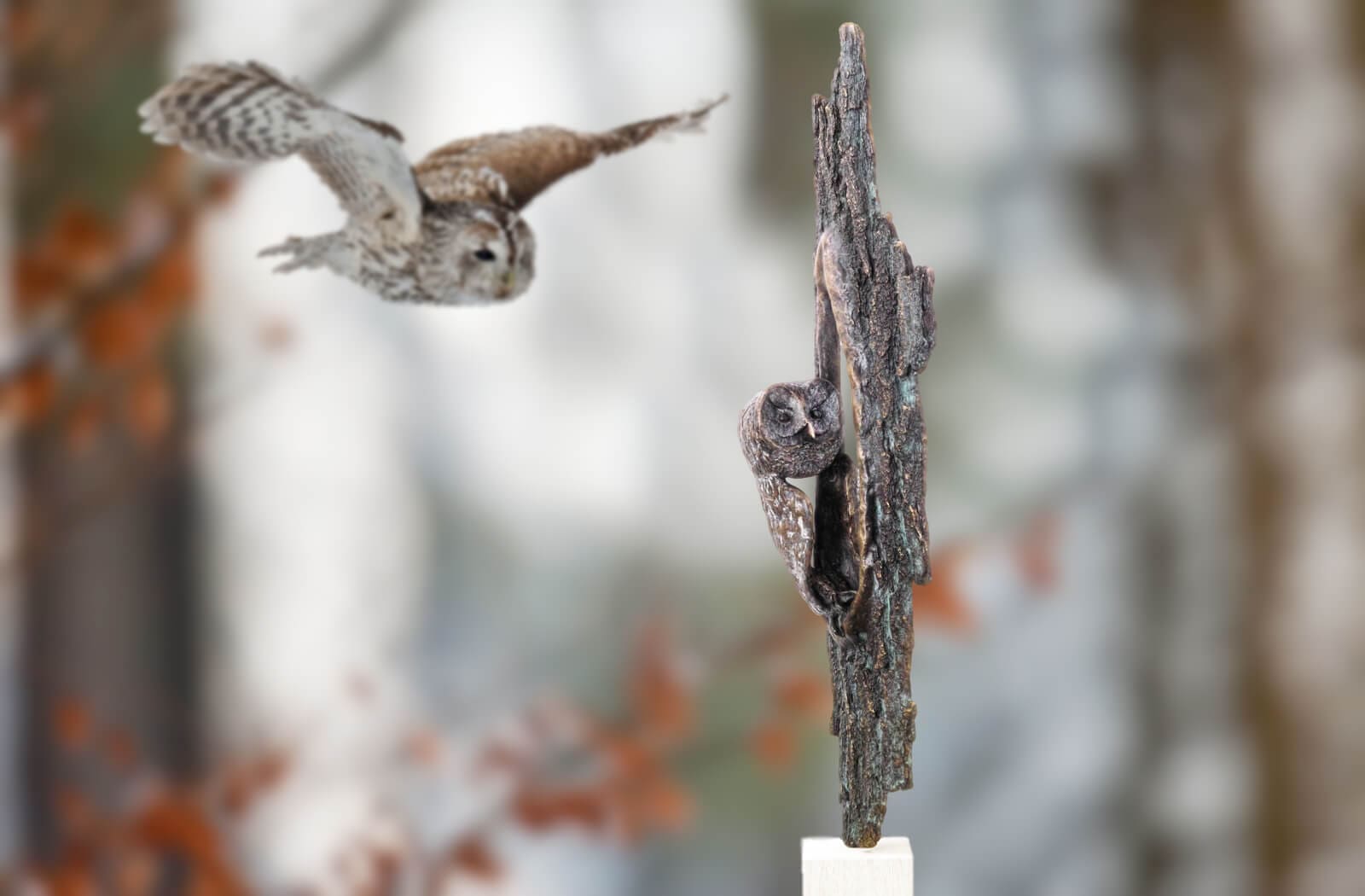 Der Waldkauz, limitierte Bronze-Skulptur von E. Wähning. Vogel des Jahres 2017.