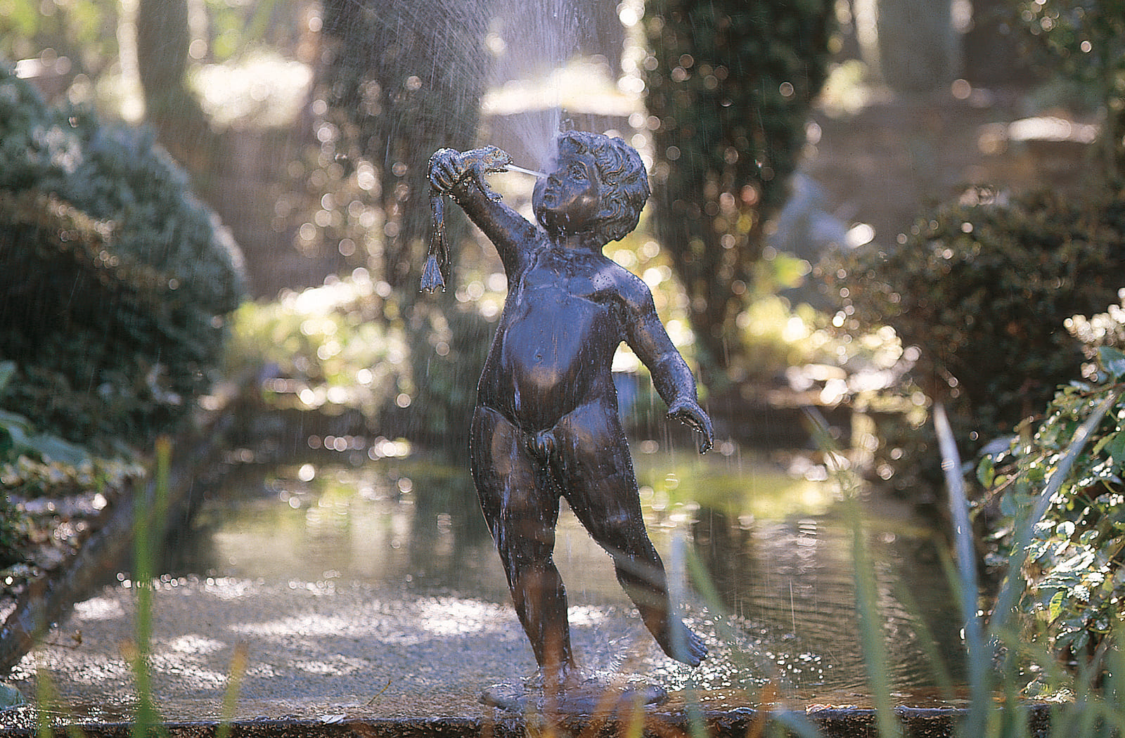 Junge mit Frosch stehend, Bronze-Wasserspeier.