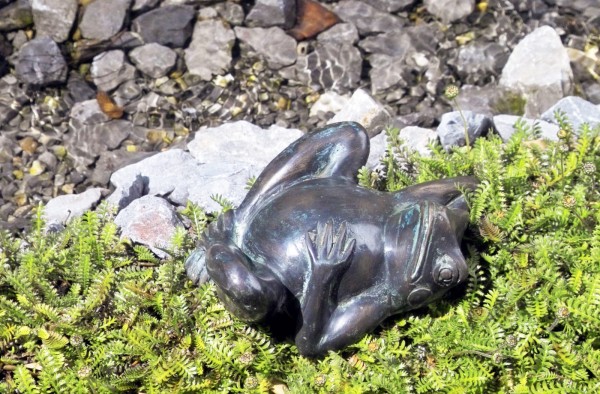 Kleiner fauler Frosch Bronze Skulptur